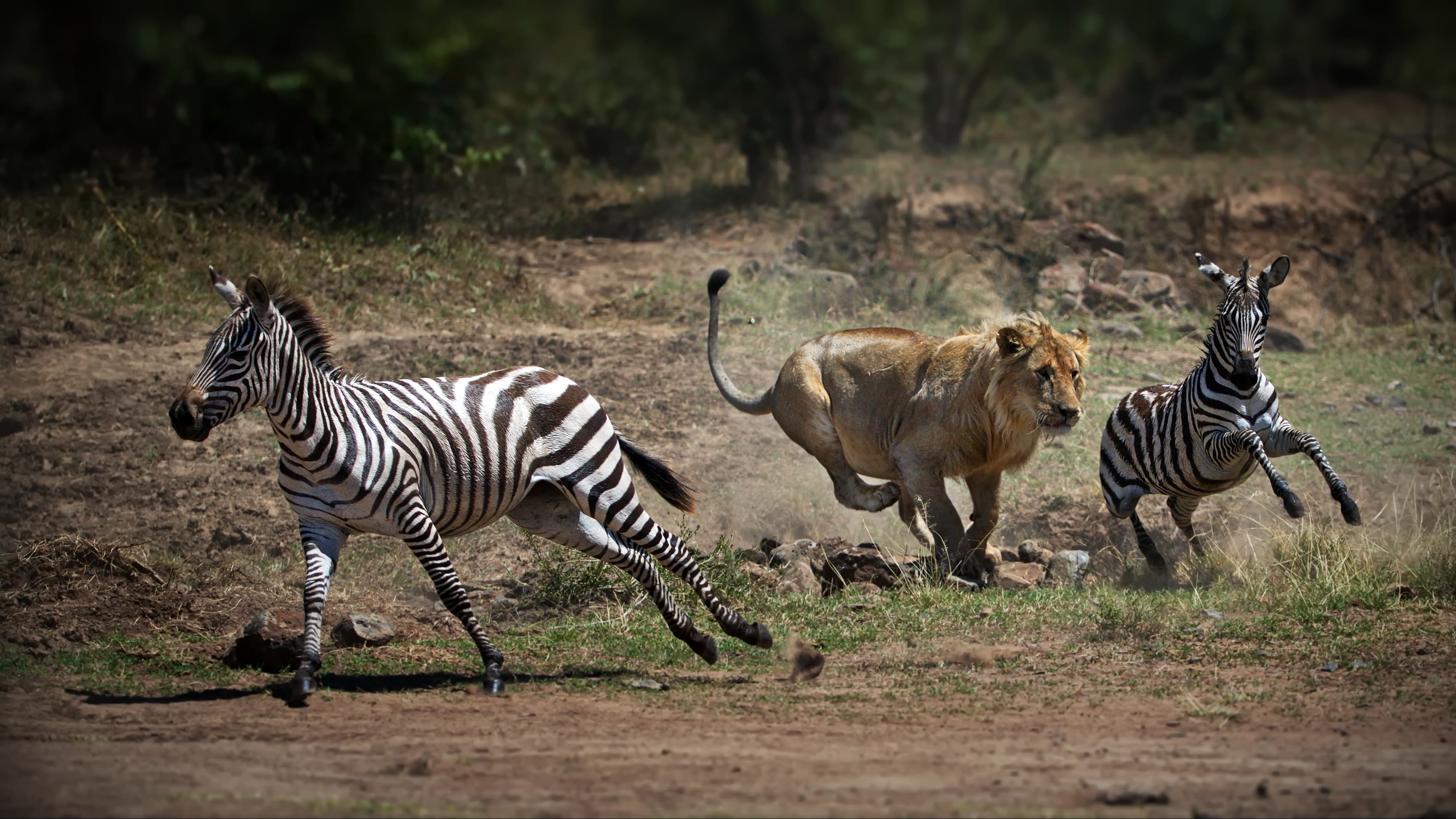 Africa