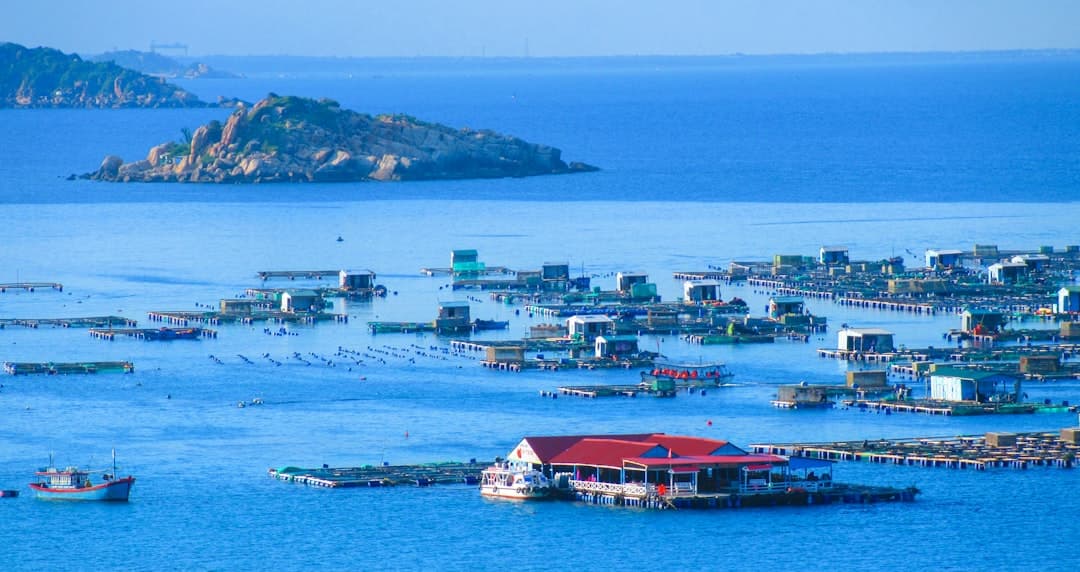 Chau Doc Floating Village - Image