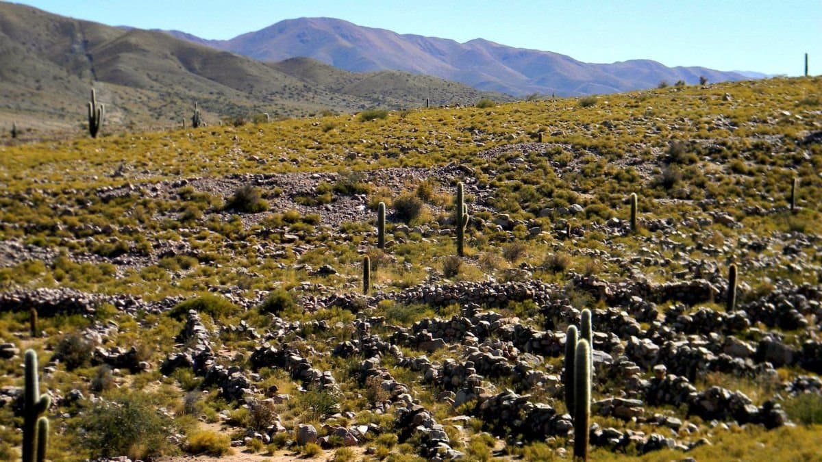 Ruinas de Coctaca - Image 2