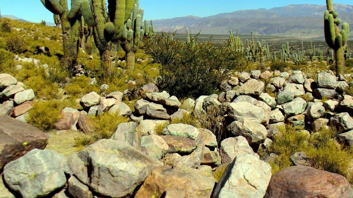 Ruinas de Coctaca - Image 4