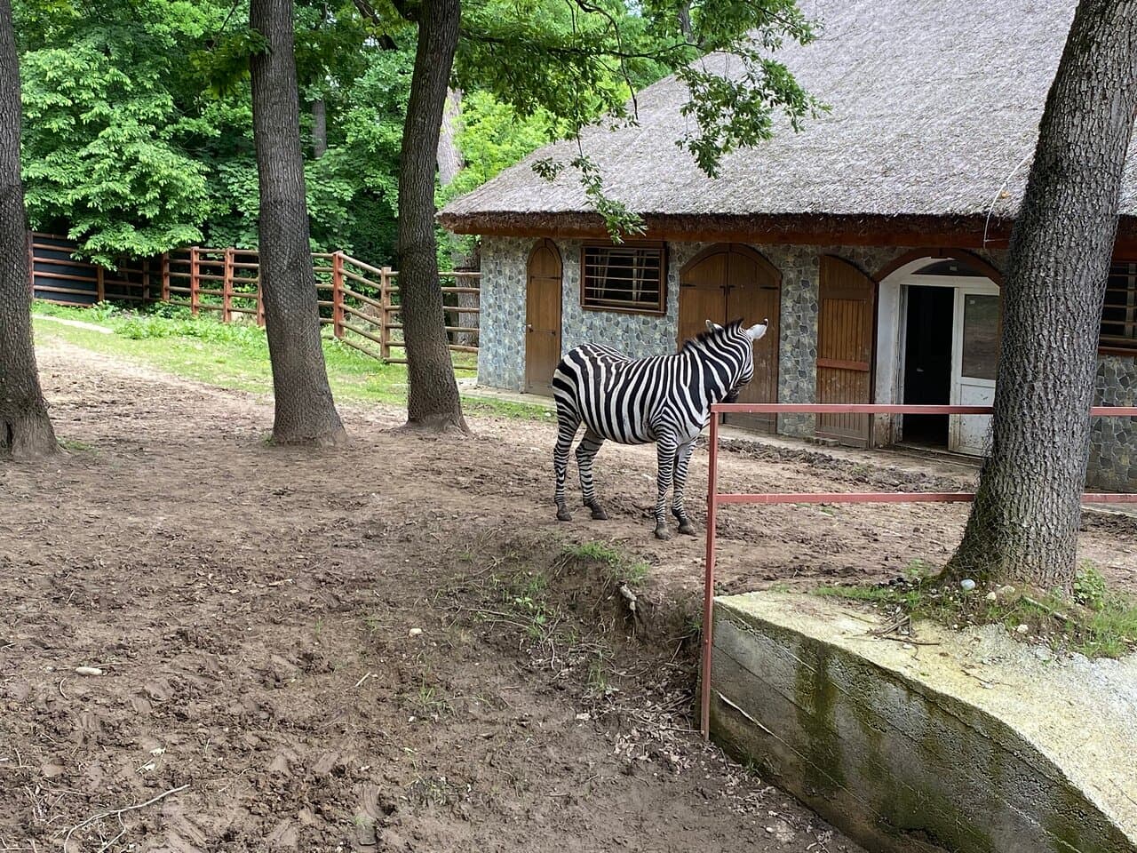 Sibiu Zoological Garden - Image 3