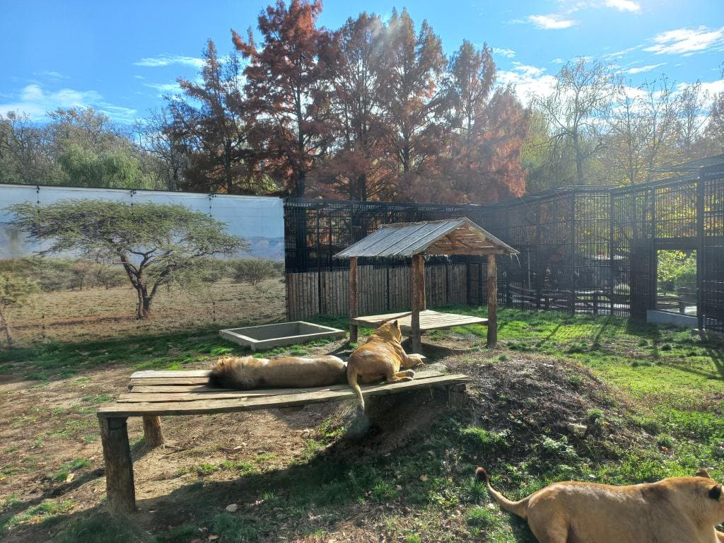 Sibiu Zoological Garden - Image 5