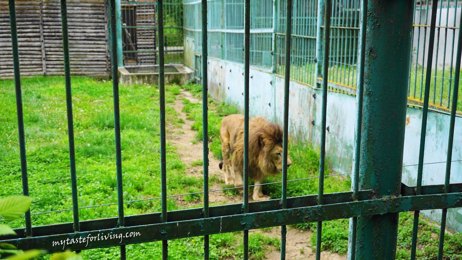 Sibiu Zoological Garden - Image 6