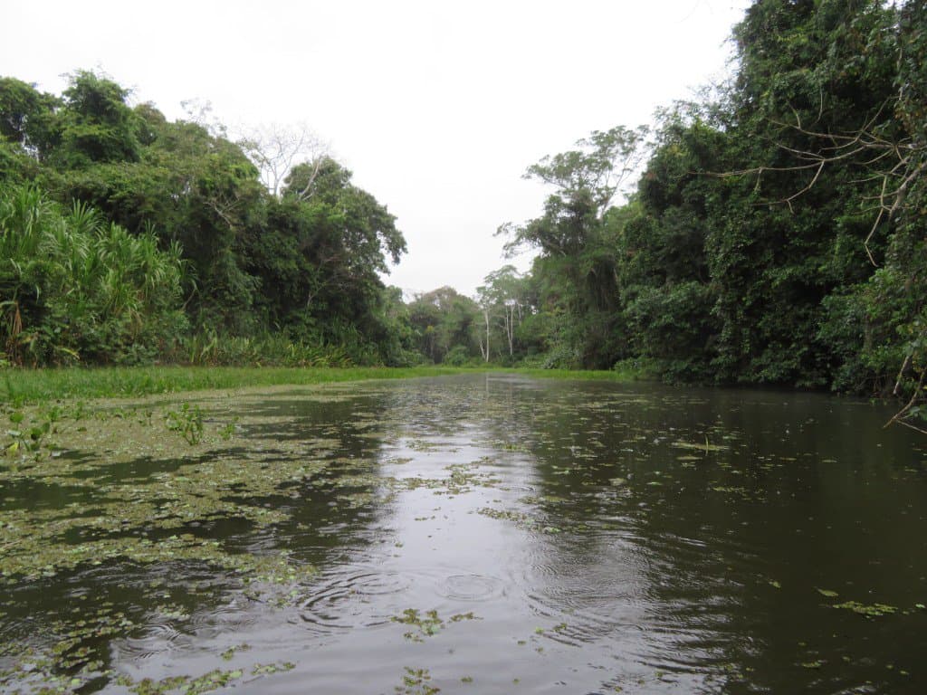 Serere Eco Reserve - Image 5