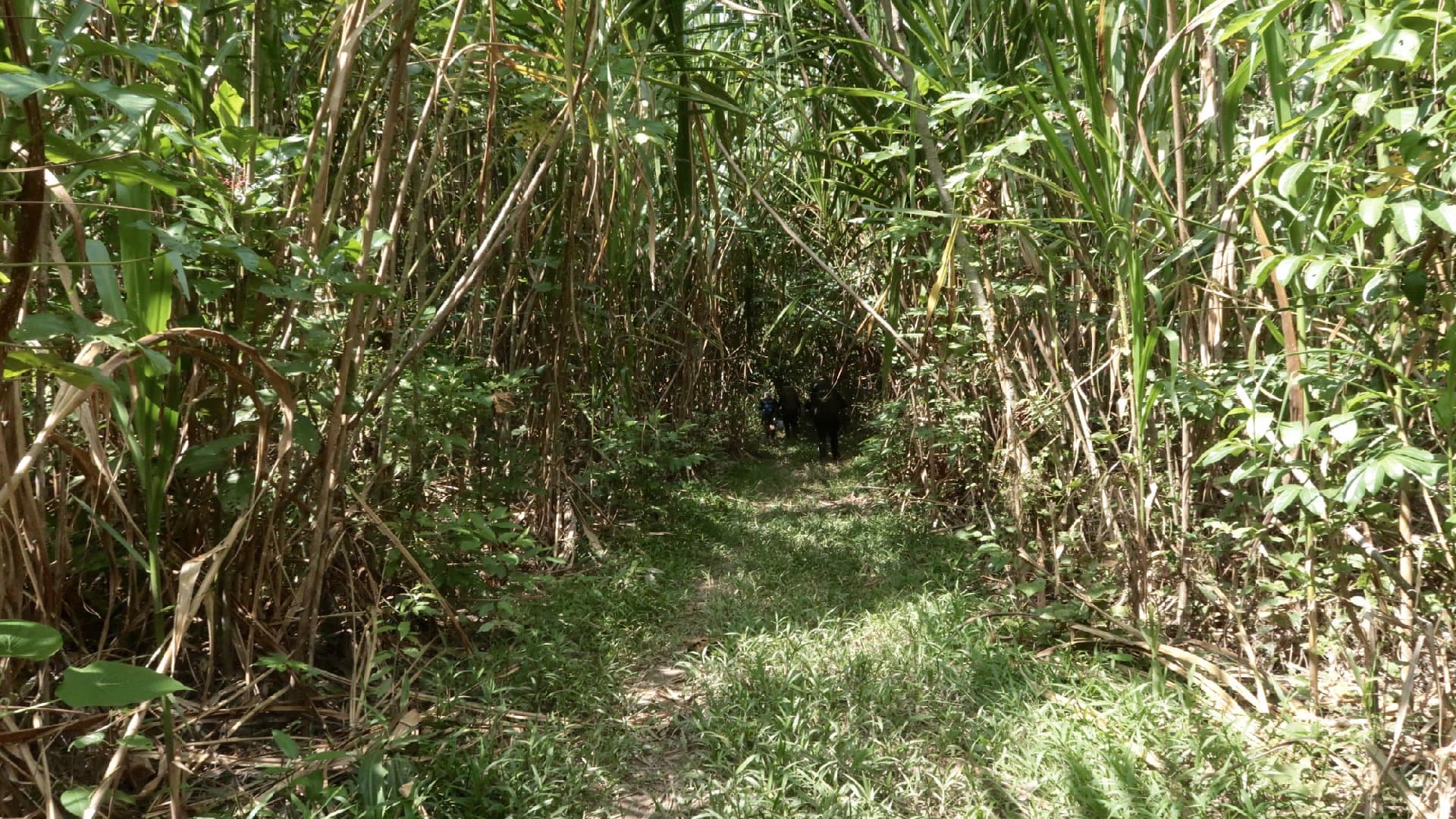 Serere Eco Reserve - Image 6