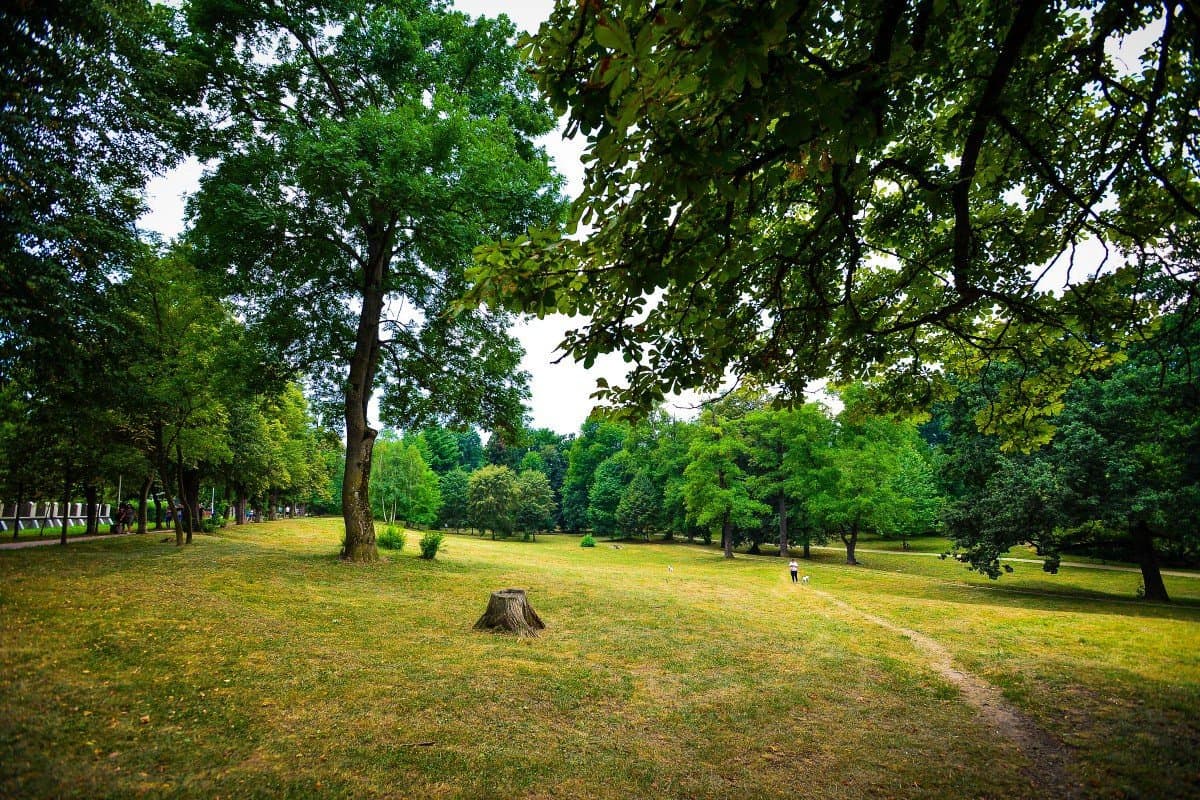 Sub Arini Park - Image 5