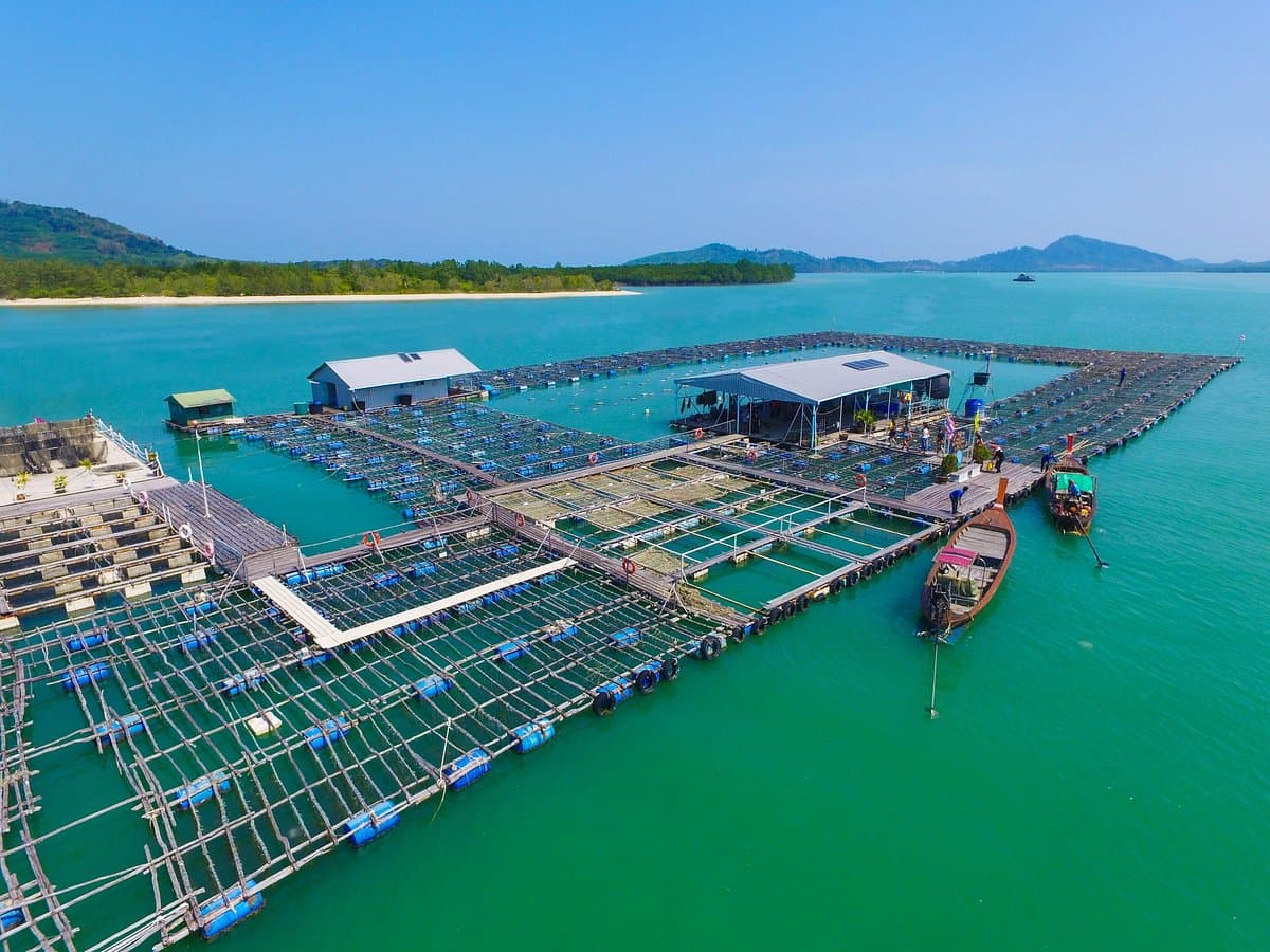 Phuket Pearl Farm - Image 2