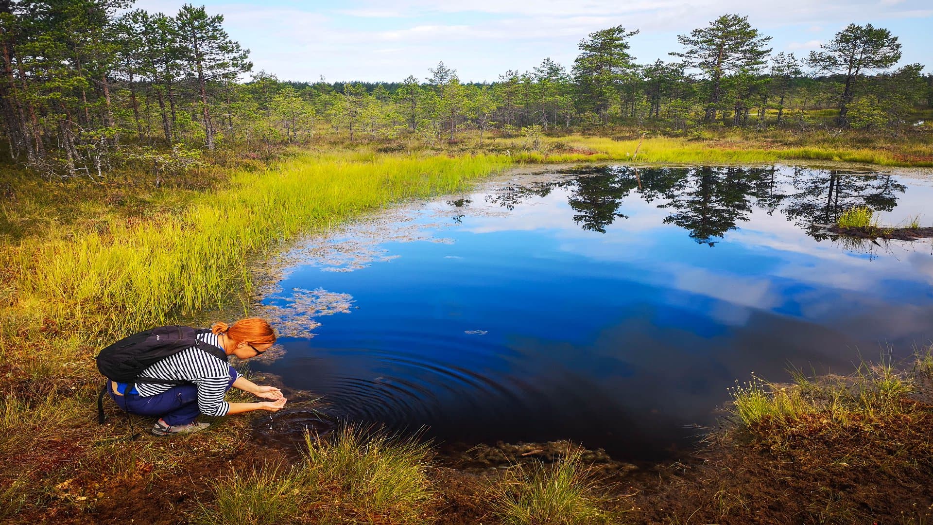 Tallinn Day Trip to Lahemaa National Park