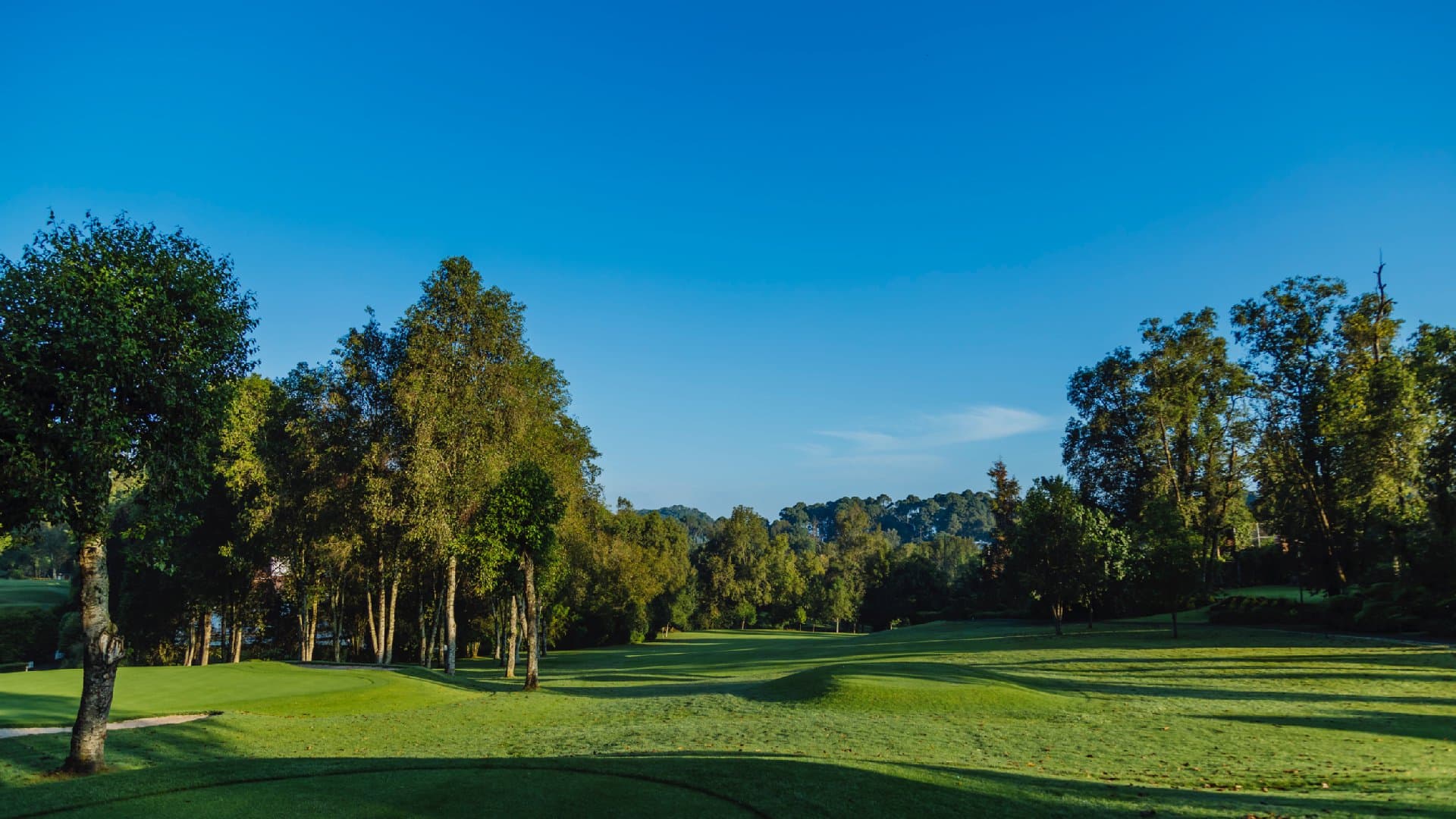 Avándaro Golf Club - Image 4
