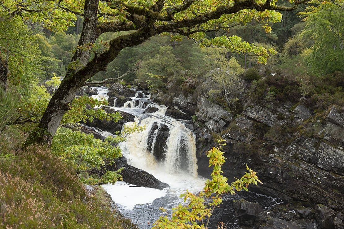 Rogie Falls - Image 2