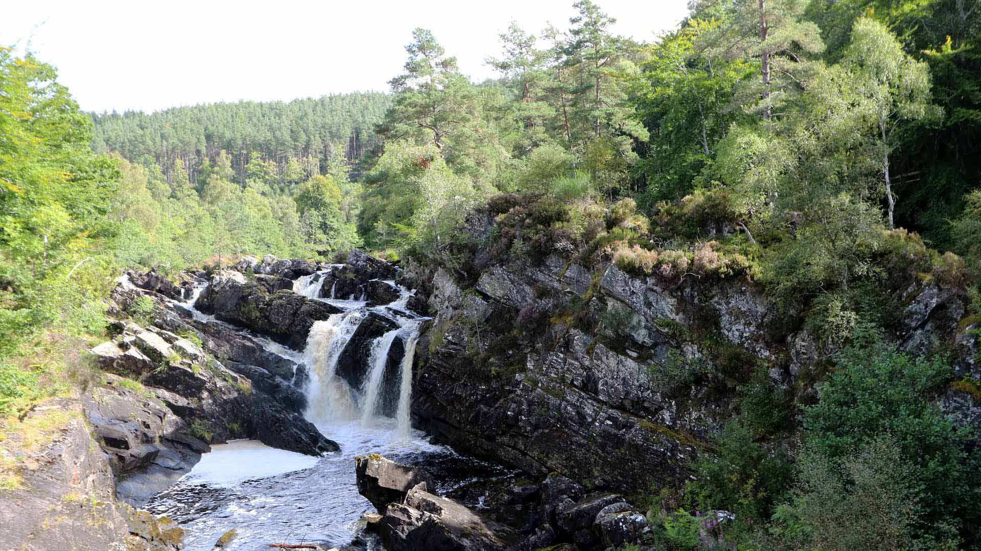 Rogie Falls - Image 5