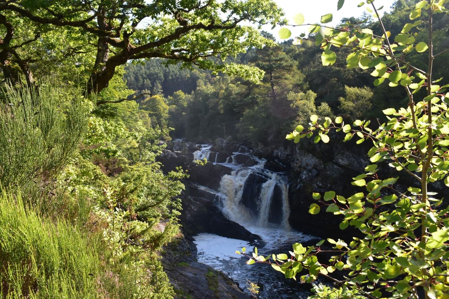 Rogie Falls - Image 6