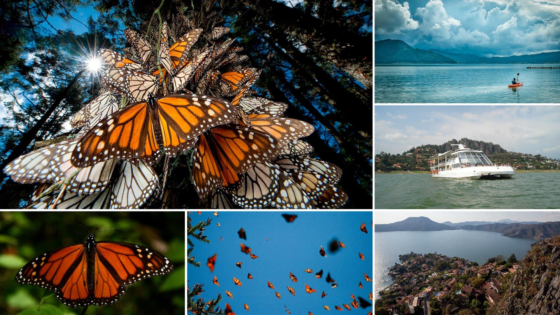 Santuario de la Mariposa Monarca - Image 4