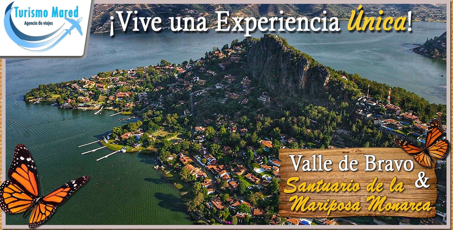 Santuario de la Mariposa Monarca - Image 5