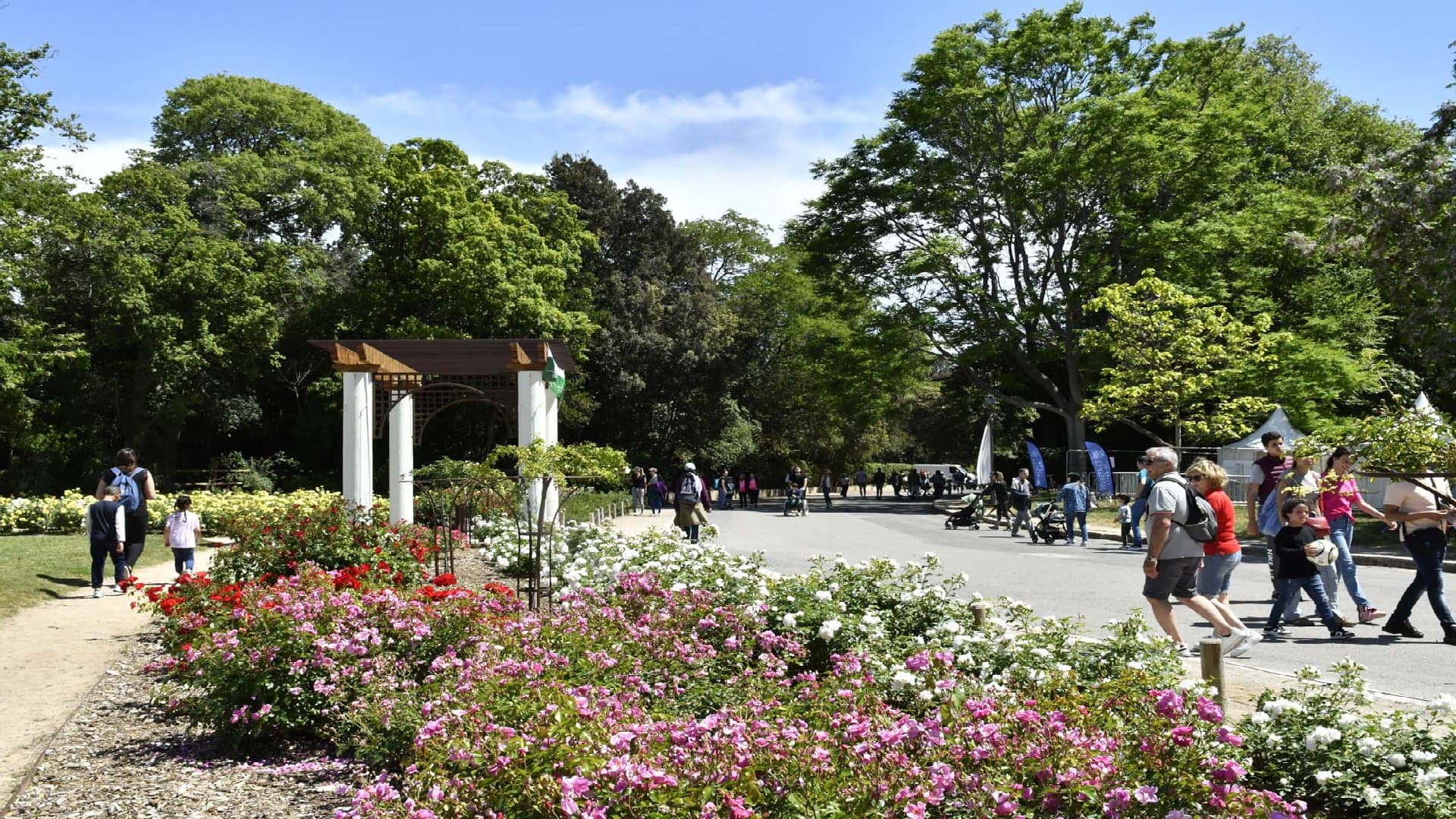 Parc Borély - Image 4