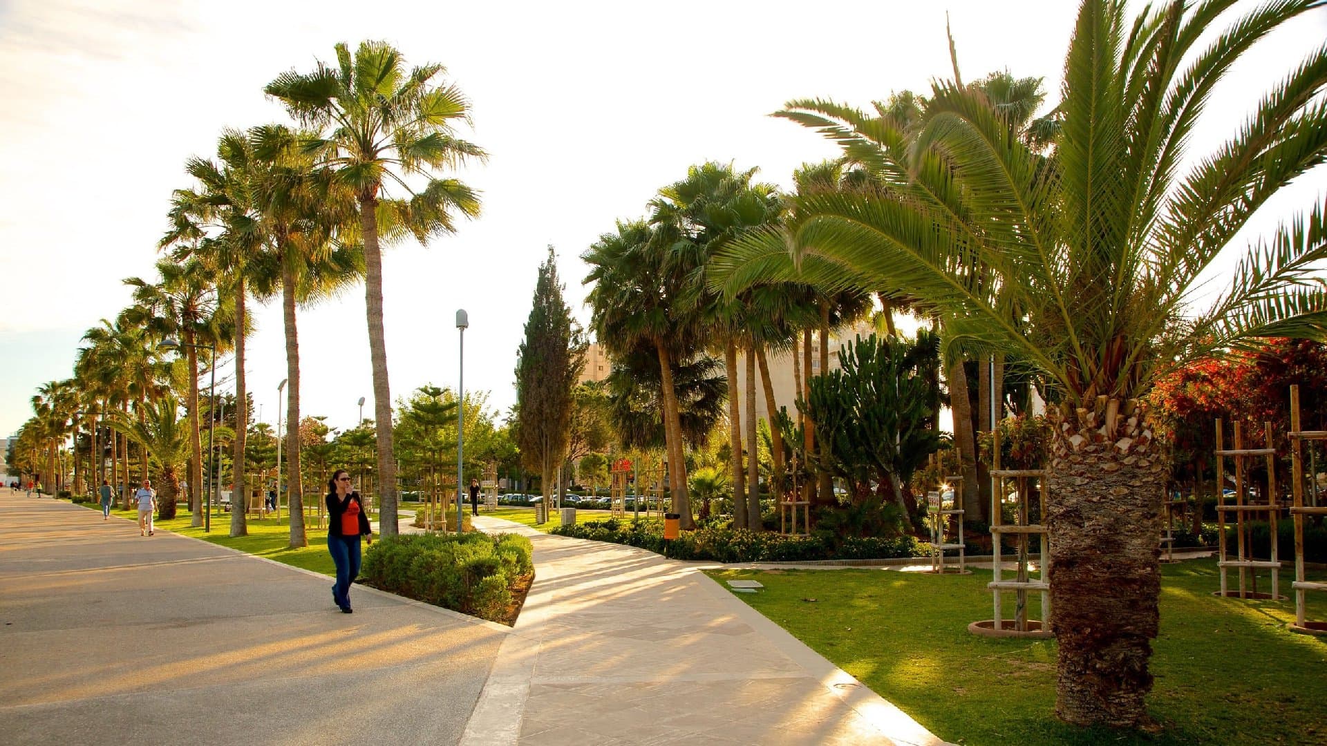 Limassol Public Garden - Image 4