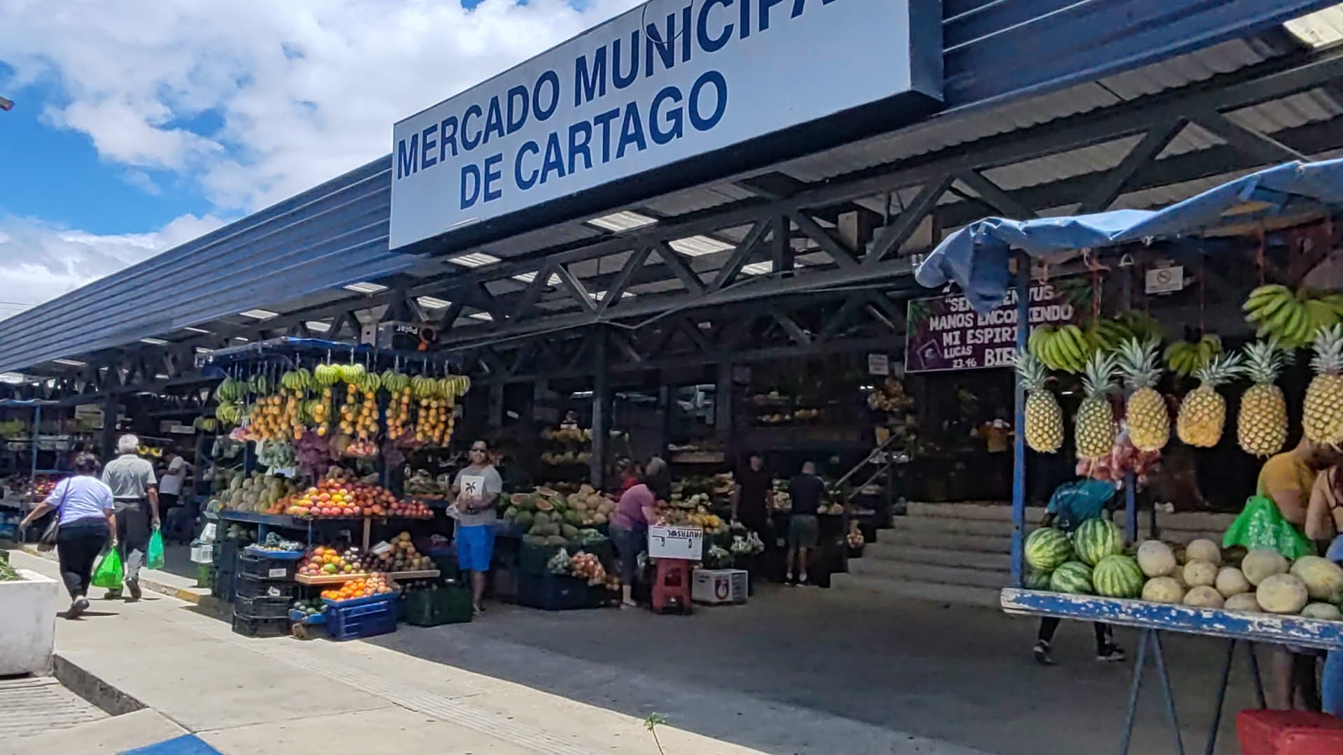 Mercado Municipal - Image 4