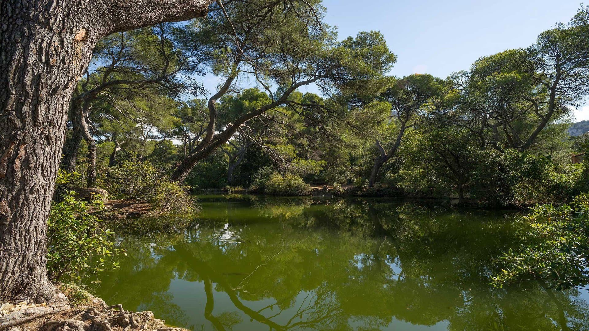 Parc Pastré