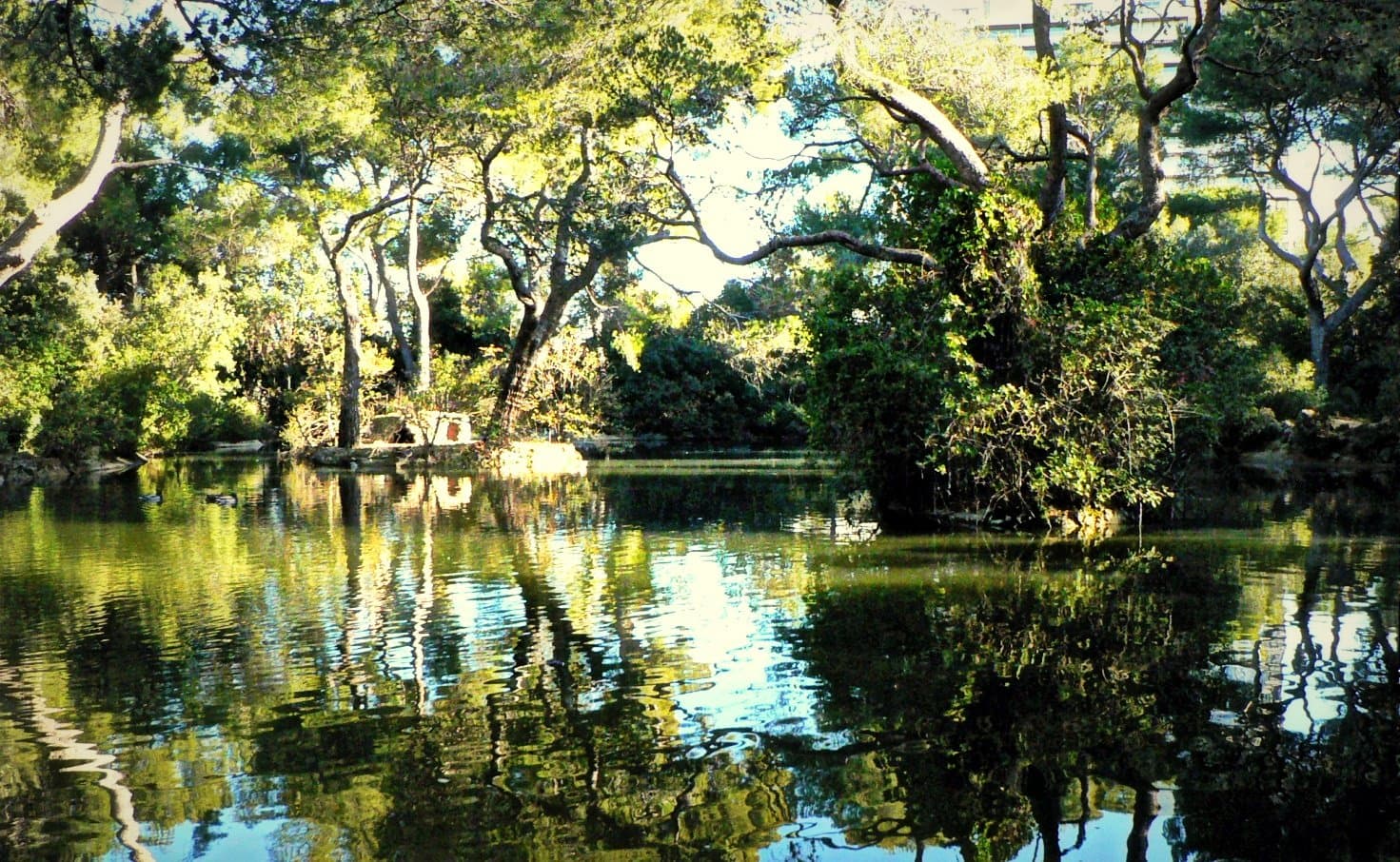 Parc Pastré - Image 2