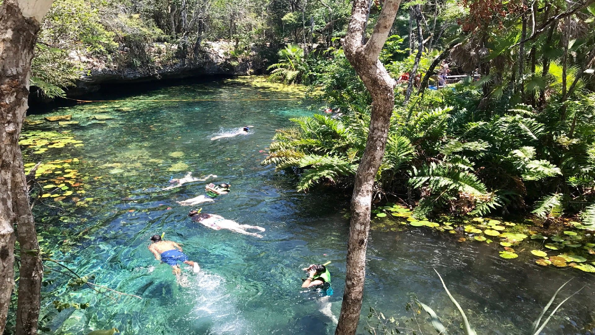 Dos Ojos Park - Image 5