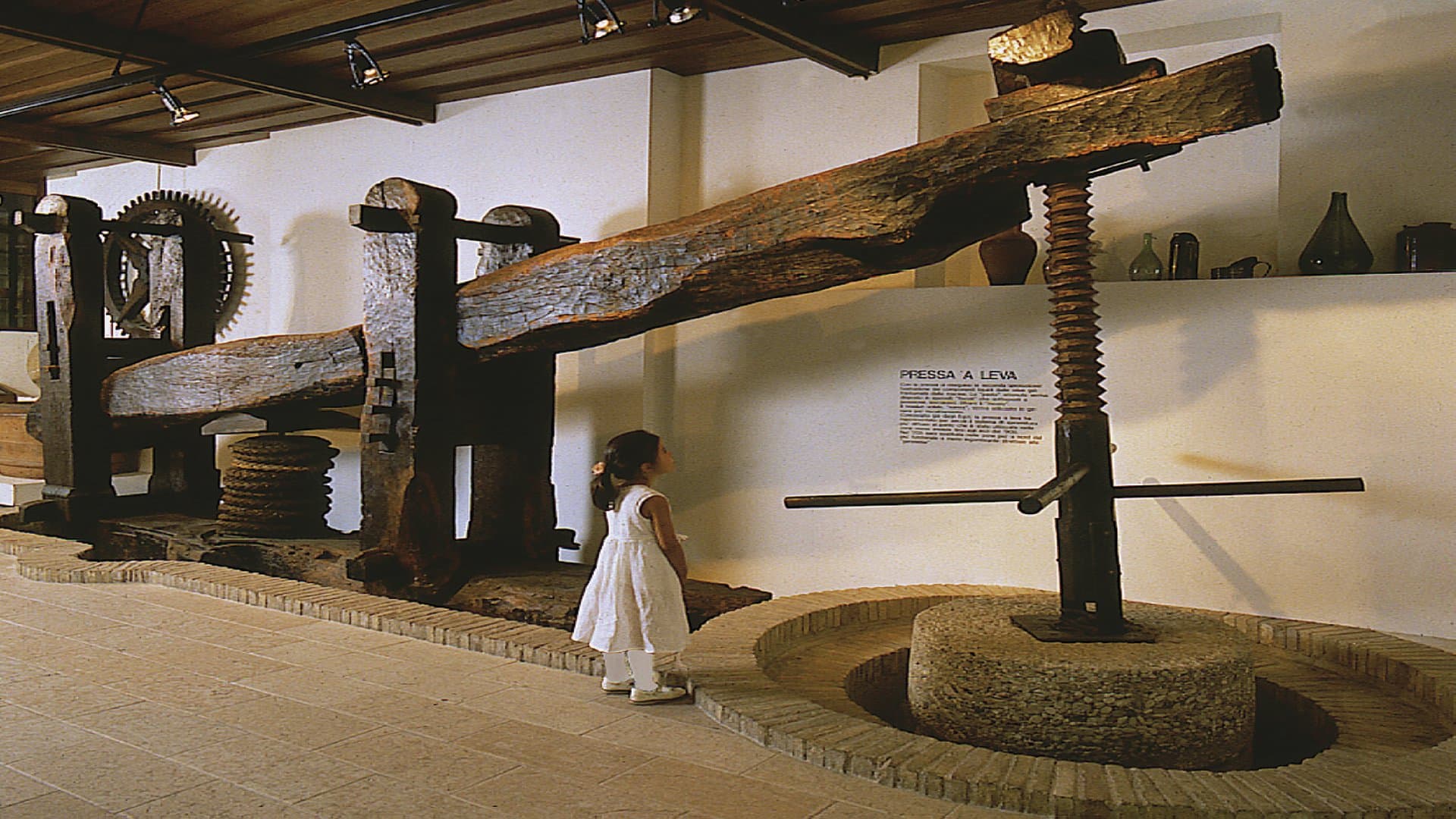 Bardolino Olive Oil Museum