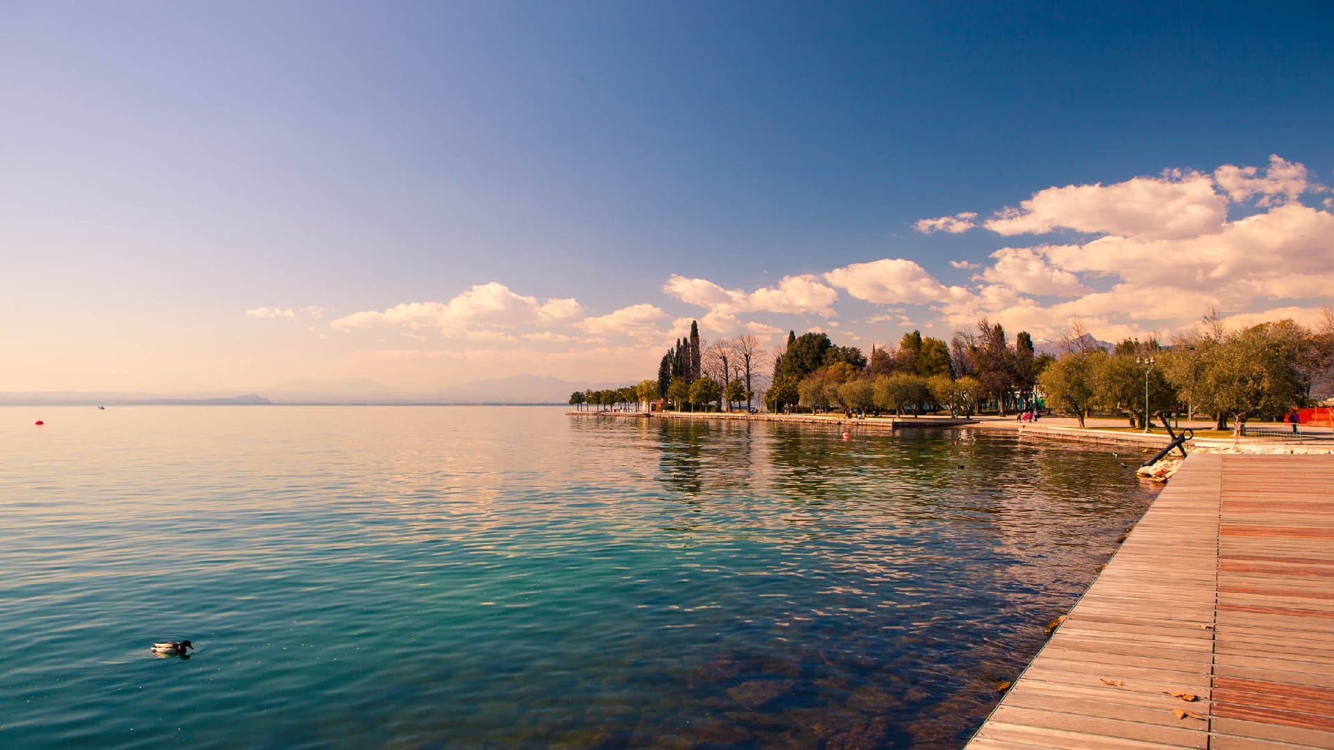 Bardolino Olive Oil Museum - Image 5