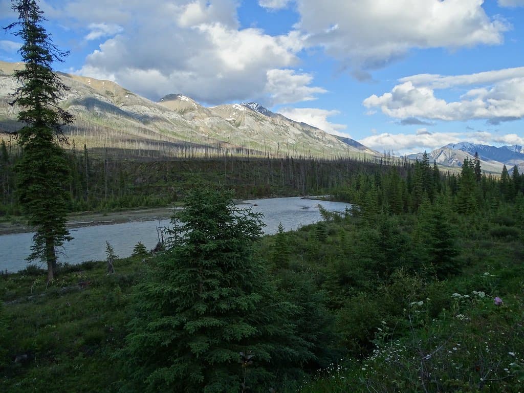 Kootenay Park Lodge - Image 6