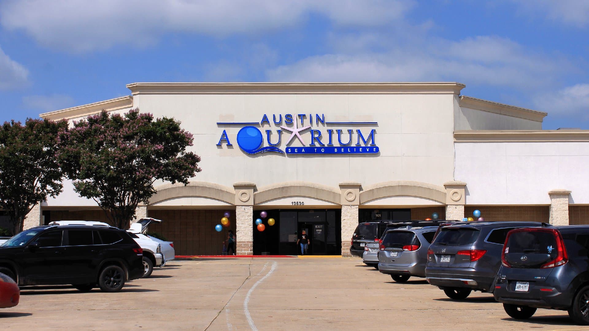 Austin Aquarium - Image 1