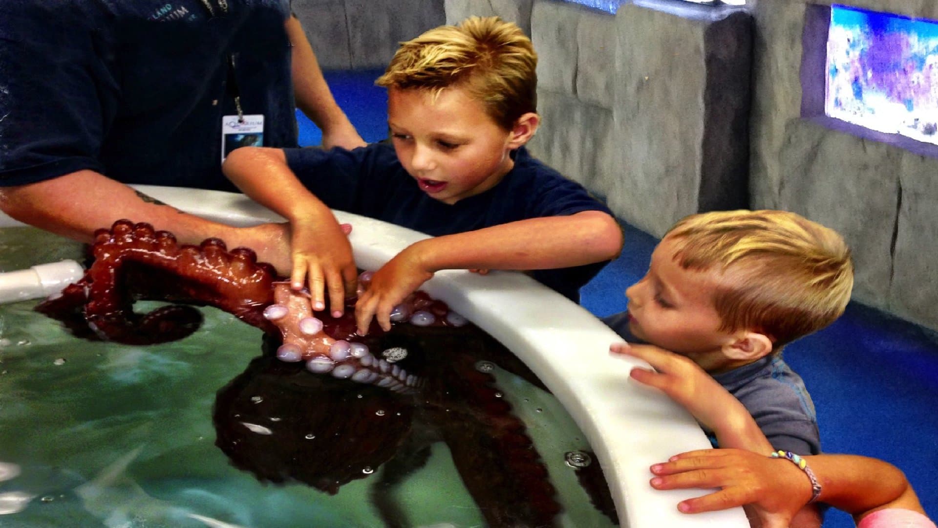 Austin Aquarium - Image 4