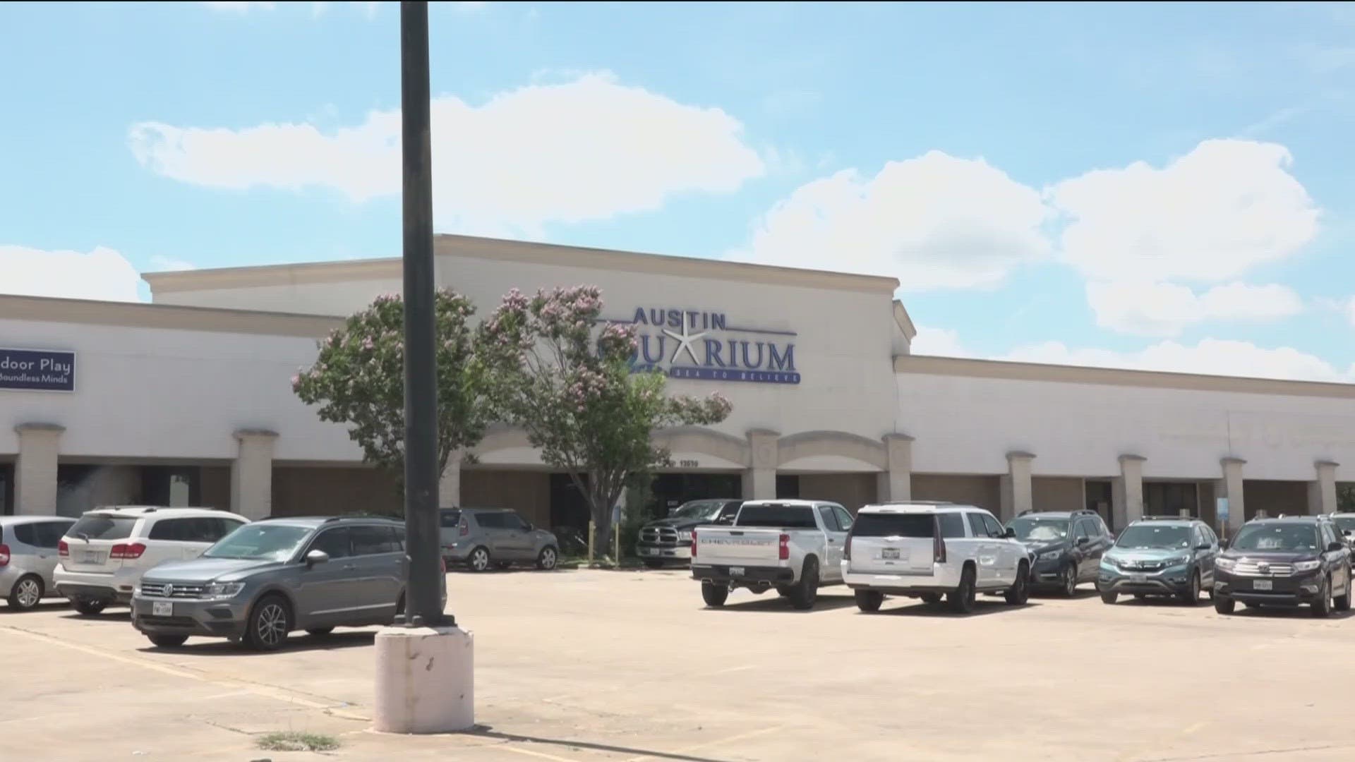 Austin Aquarium - Image 6