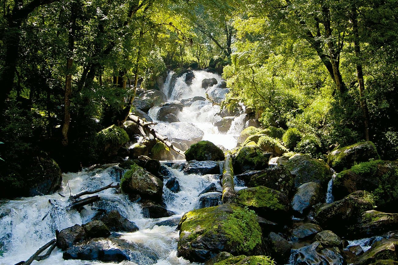 Cascada El Capulín