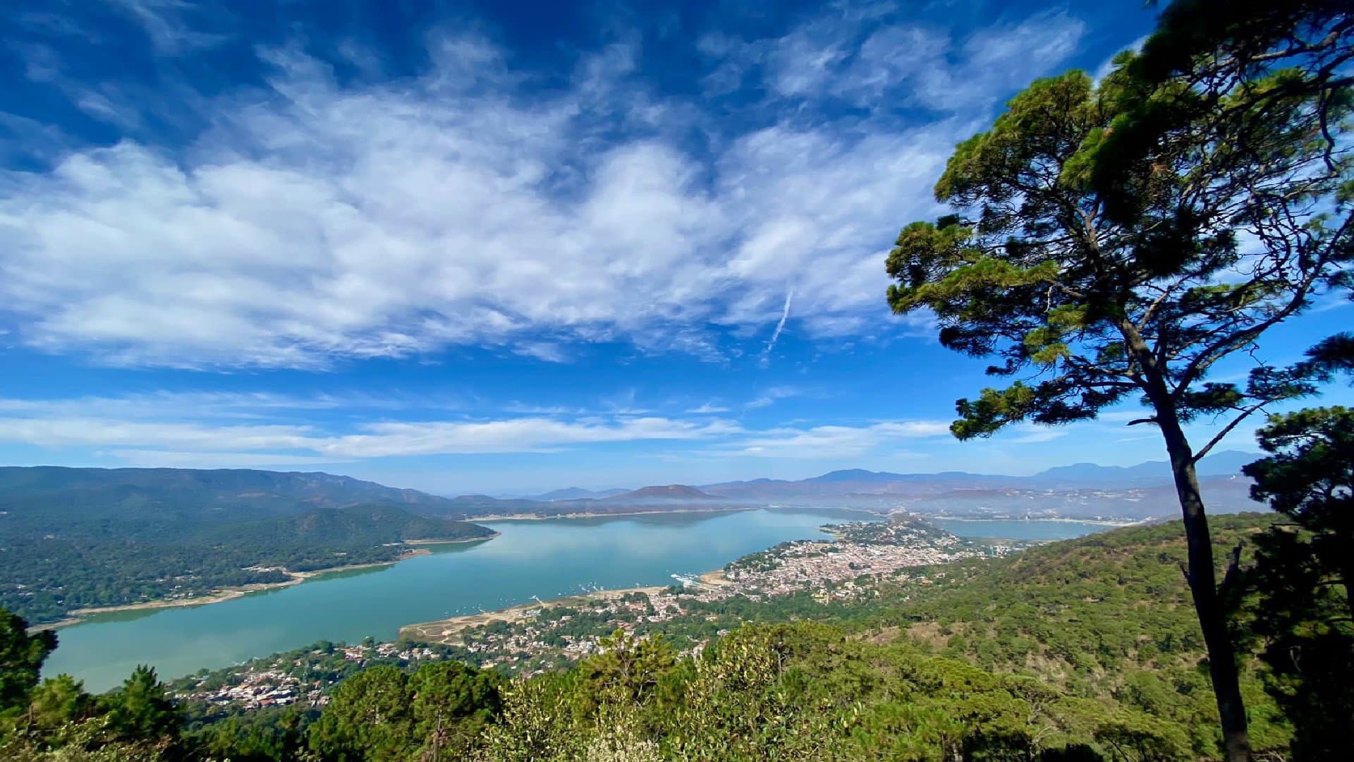 Parque Estatal Monte Alto - Image 6