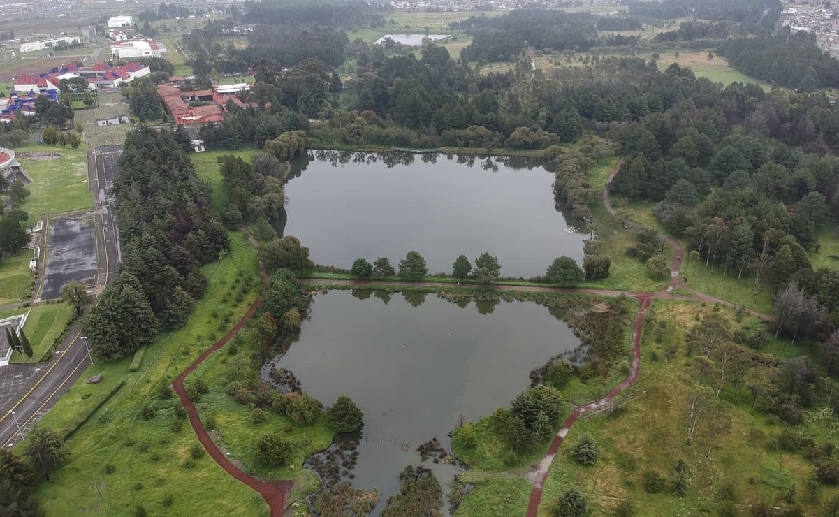 Parque de la Alameda - Image 3