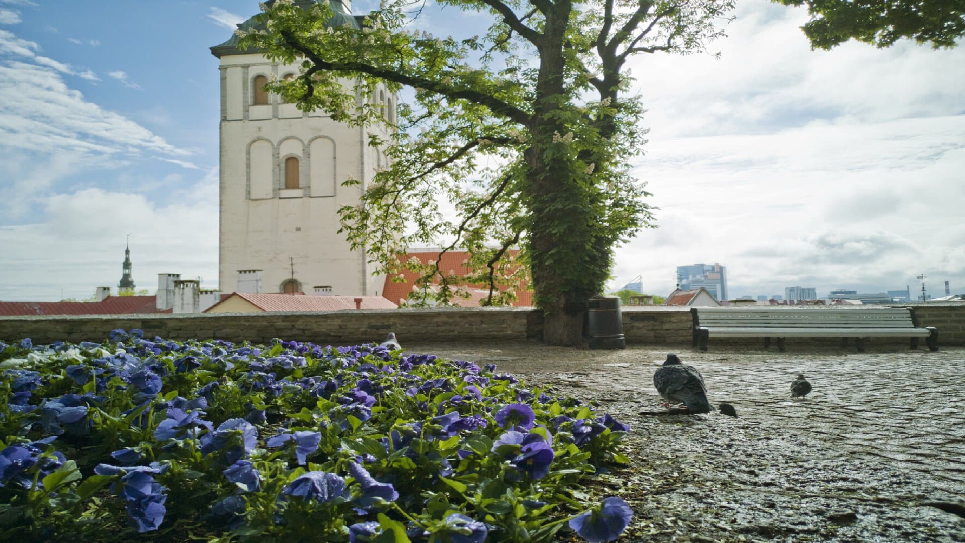 Danish King's Garden - Image 6