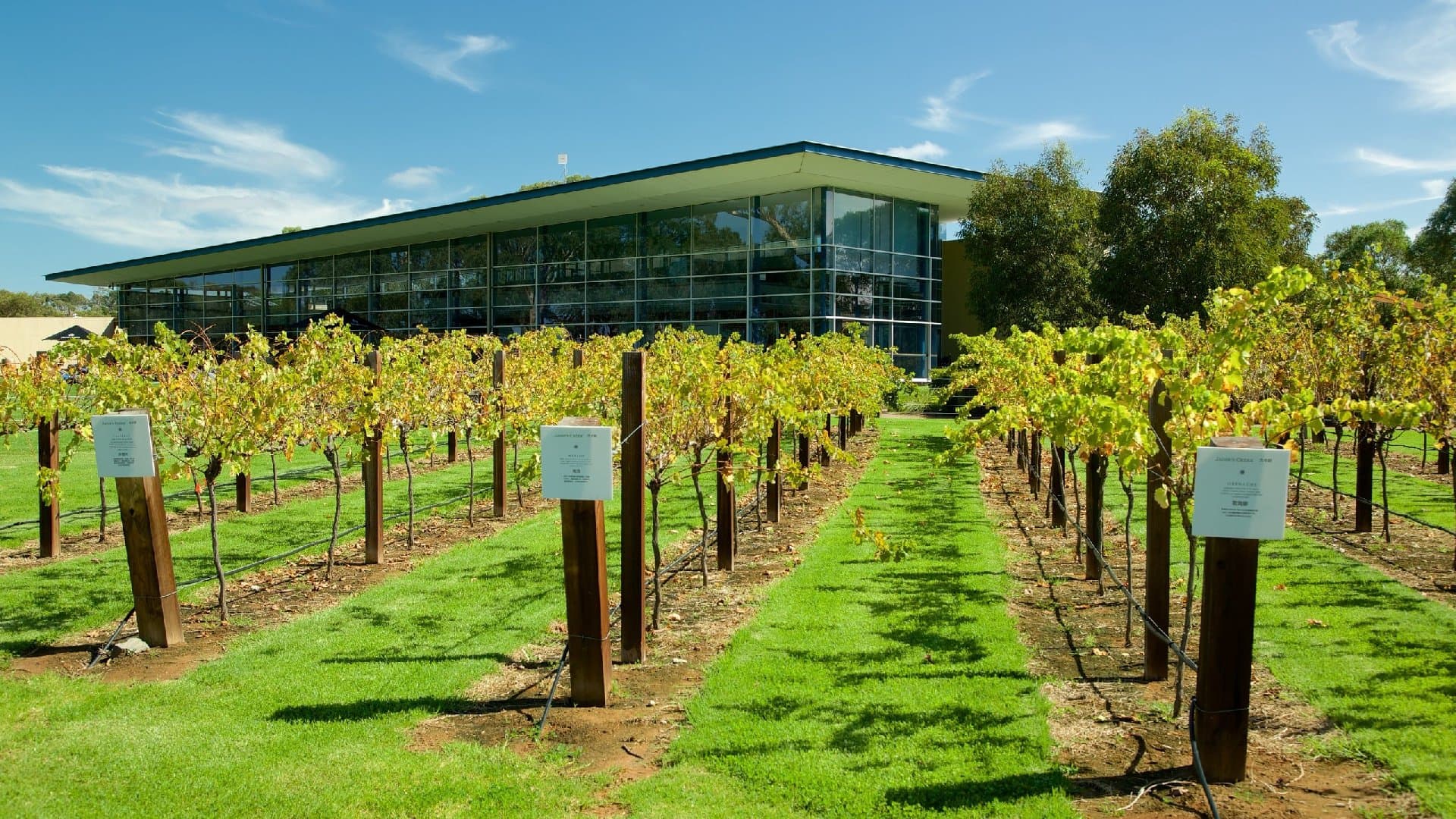 Jacob's Creek Visitor Centre - Image 3