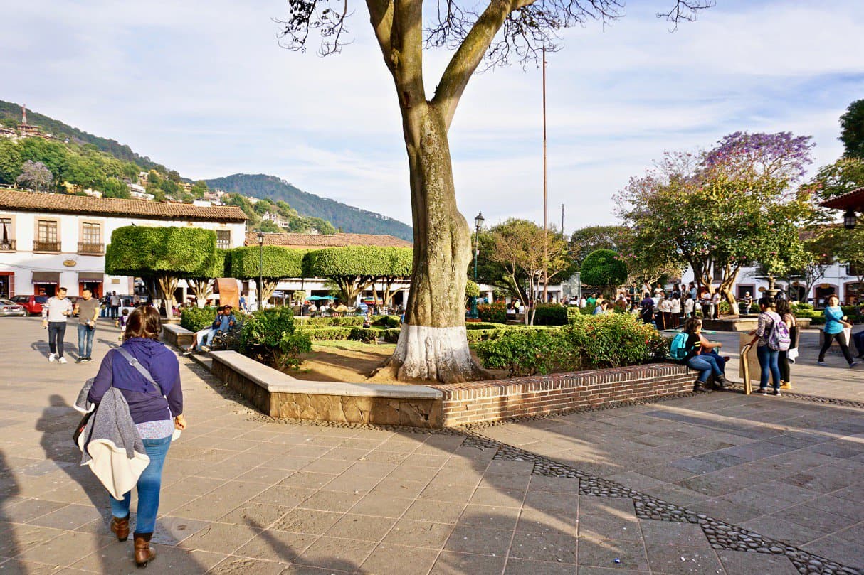 Parque El Nogal - Image 2