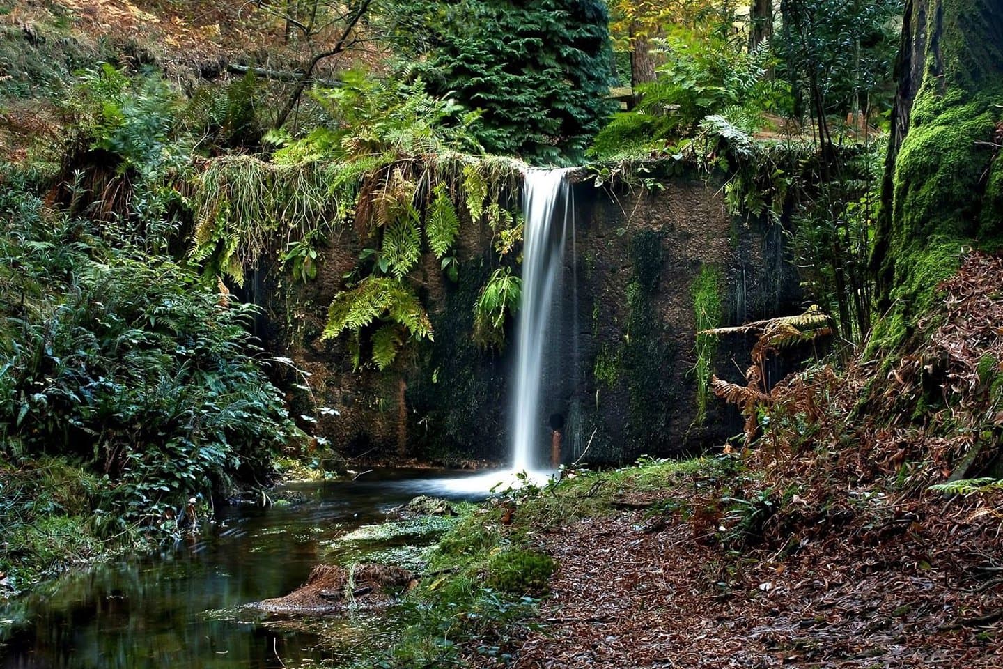 Cascada El Ahuehuete - Image 5