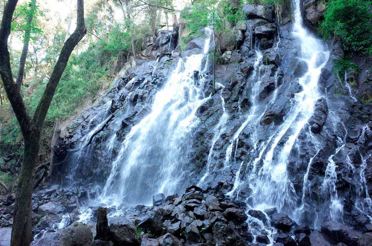 Cascada El Ahuehuete