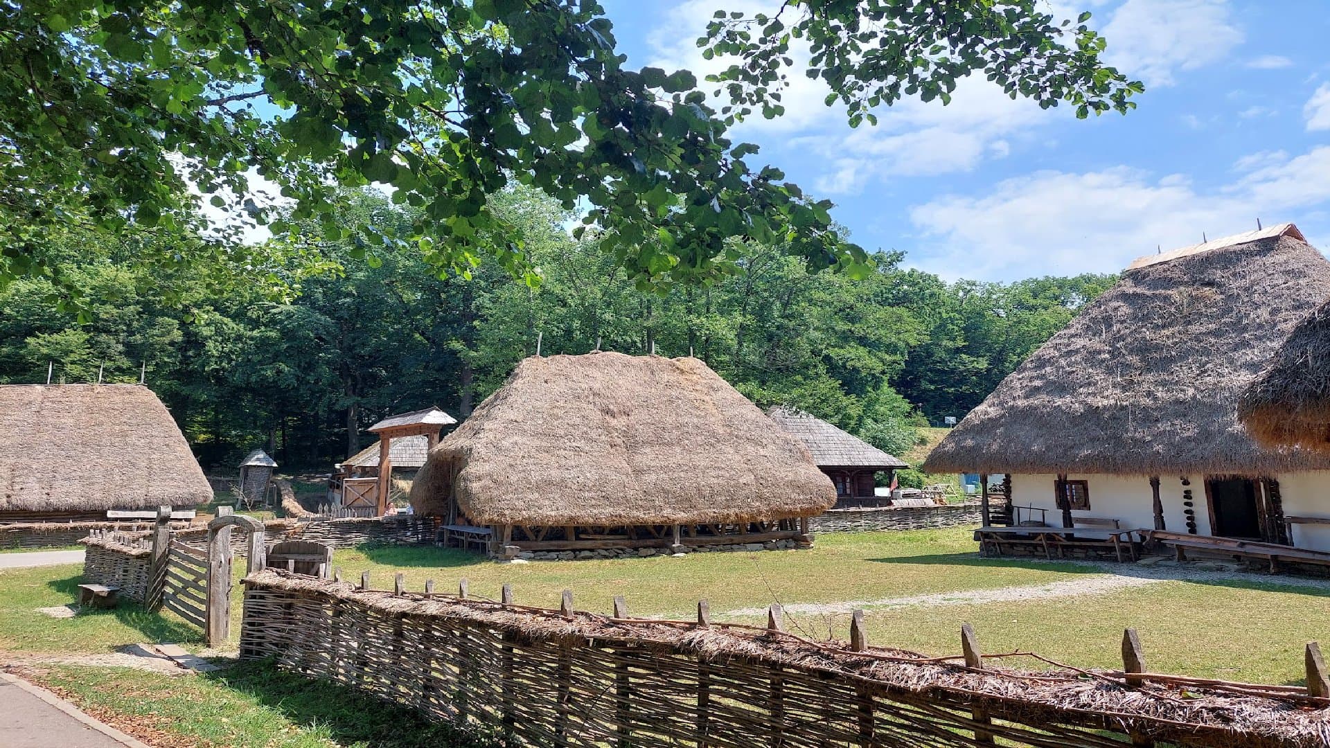 Astra National Museum Complex - Image 5