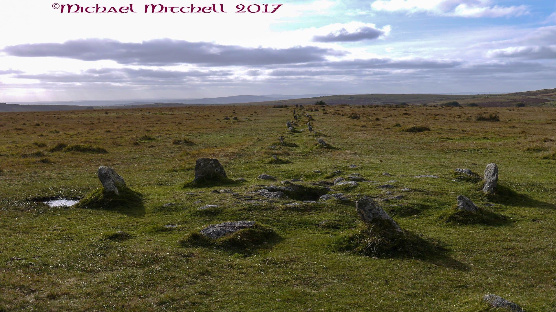 The Plague Market - Image 1