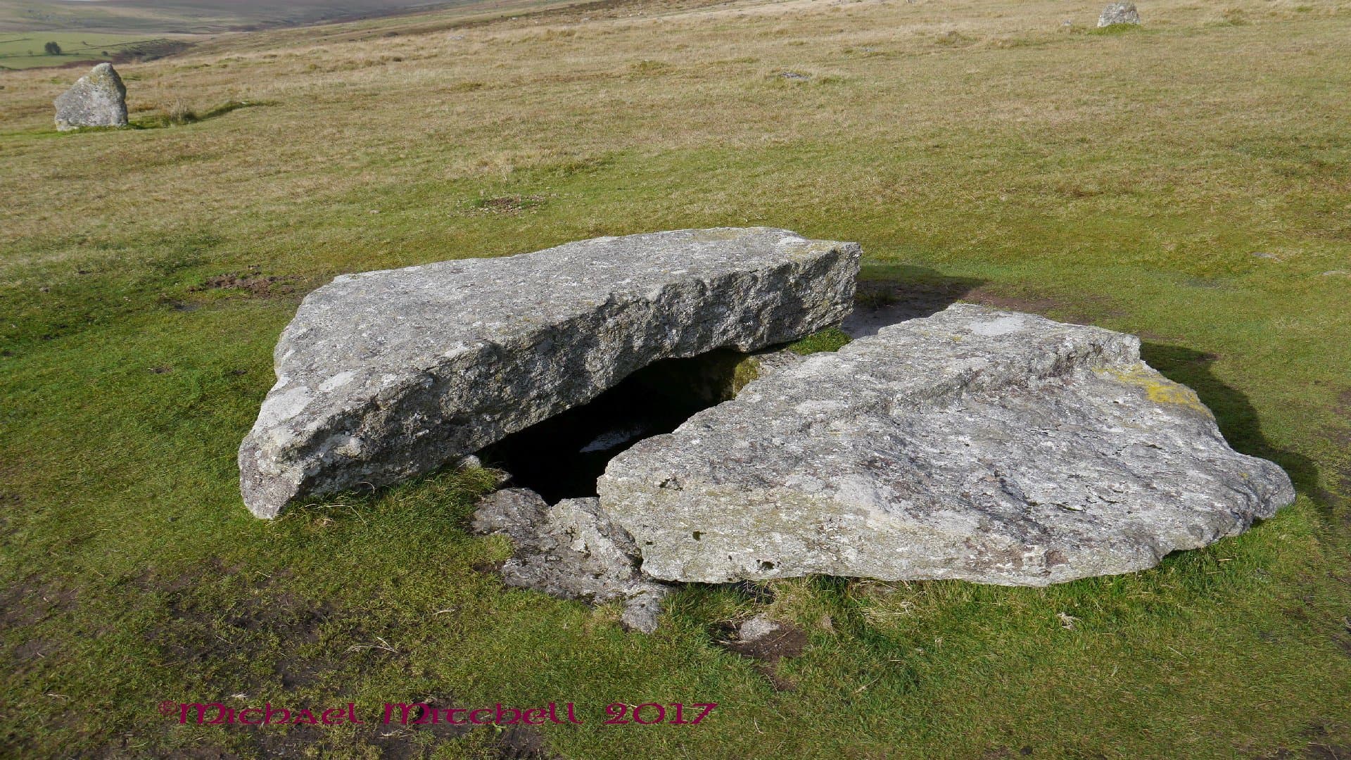 The Plague Market - Image 2