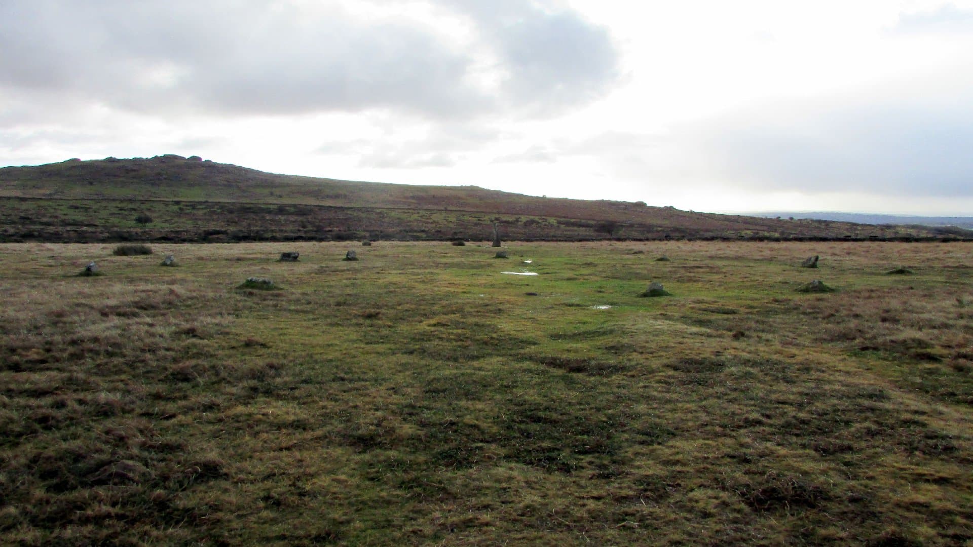 The Plague Market - Image 3