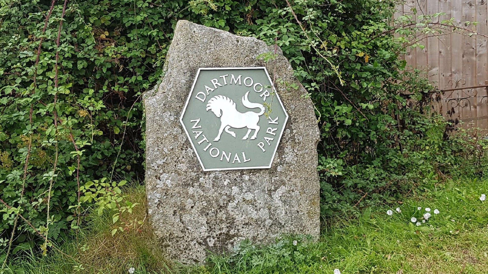 The Plague Market - Image 6