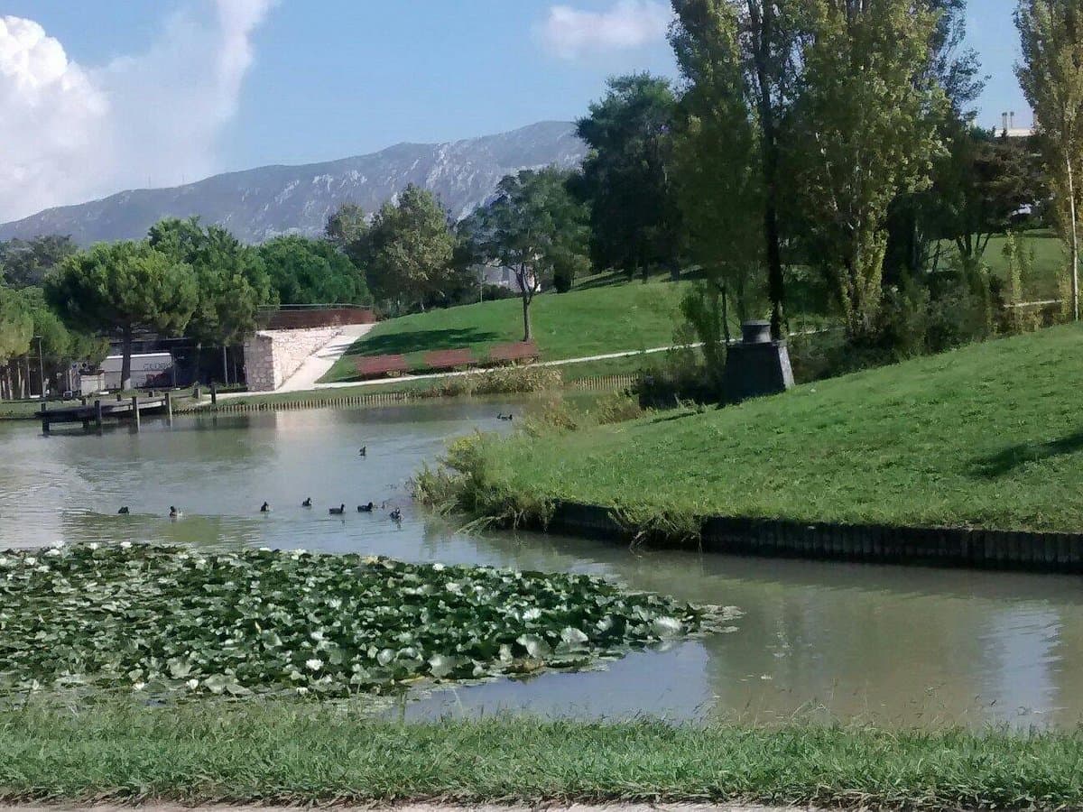 Parc du 26e Centenaire - Image 4